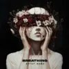 Breathing Inner Light <div> <h3>At a Glance</h3> The text on the artwork is a placeholder and will be updated with your album title and artist name upon purchase. A text-free version will be included for promotional purposes. <ul> <li><strong>Size:</strong> 3000 x 3000 pixels</li> <li><strong>Resolution:</strong> 300dpi</li> <li><strong>Formats:</strong> JPG and PNG</li> <li><strong>Compatibility:</strong> Suitable for Spotify, iTunes, Apple Music, and more</li> </ul> </div>