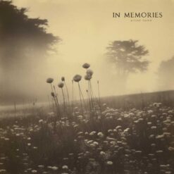 IN MEMORIES Cover Art ready for immediate use, whether it's for your single track or full album - Exclusive design.