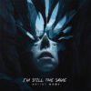 I'm Still The Same The text on the Cover Art is just a placeholder. Your title and logo will be added after purchase. You will also receive the Cover Art image without text and logo for other promotional uses. Cover Art size: 3000 x 3000 px, 300dpi, JPG/PNG. Designed for all major music platforms.