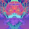 Set Me Free cover art - vibrant psychedelic album design