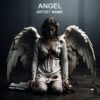 Angel 2 <ol> <li>High quality and specialized music cover</li> </ol>