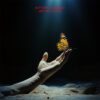 Butterfly Harmony Album Cover featuring a glowing butterfly resting on a hand under soft light.