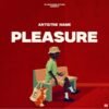 PLEASURE PLEASURE <p dir="ltr">The text on the Cover Art is just a placeholder. Your title and logo will be added after purchase.</p> <p dir="ltr">You will also receive the Cover Art image without text and logo for other promotional uses.</p> <p dir="ltr">Cover Art size: 3000 x 3000 px, 300dpi, JPG/PNG. Designed for all major music platforms.</p>