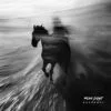 Move Past - A cinematic music album cover featuring a blurred horse galloping on a wet beach under a cloudy sky.