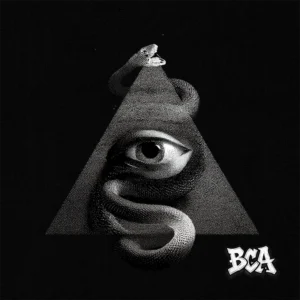 Silent Death Serpent Eye Enigma blank album cover artwork, customizable with title, featuring a serpent-wrapped eye in a triangle, perfect for Death Metal projects and instant download.