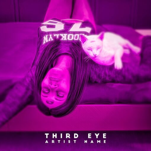 third Eye The text on the Cover Art is just a placeholder, your title and logo will be added to the design after purchase. You will also get the Cover Art image without the logo and text which you can use for other promotional contents. This Cover Art size is 3000 x 3000 px, 300dpi, JPG/PNG and can be used on all major music distribution websites