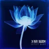 A luminous X-Ray Bloom album cover art featuring a blue X-ray rendering of a lotus flower glowing against a dark, ethereal background.